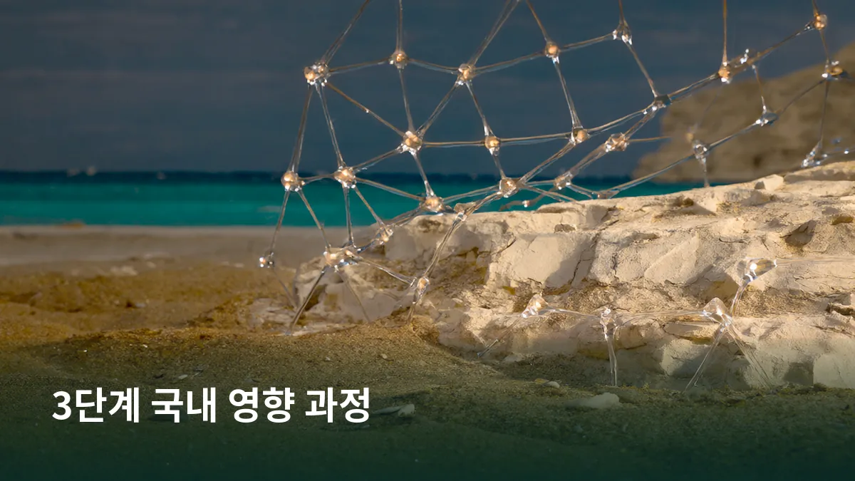 글로벌 시세, 환율, 국내 수급 3단계로 이어지는 가격차 형성 과정을 실물 단서로 연결하기 위해